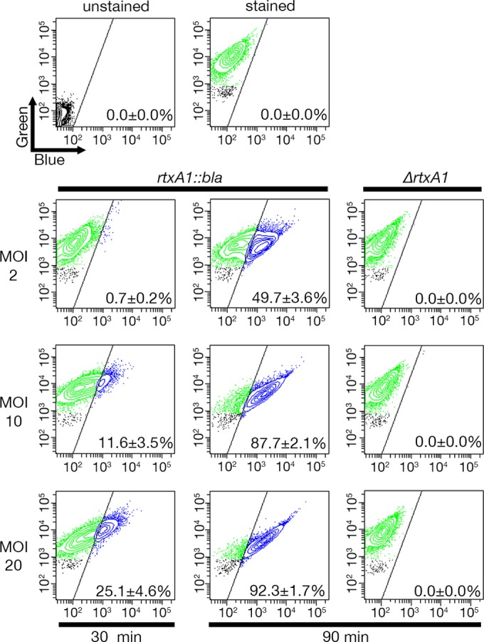 FIG 2 