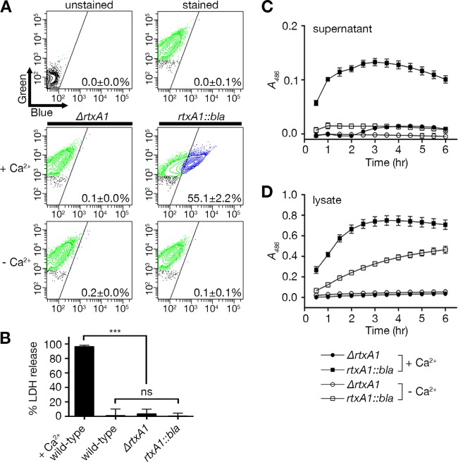 FIG 6 