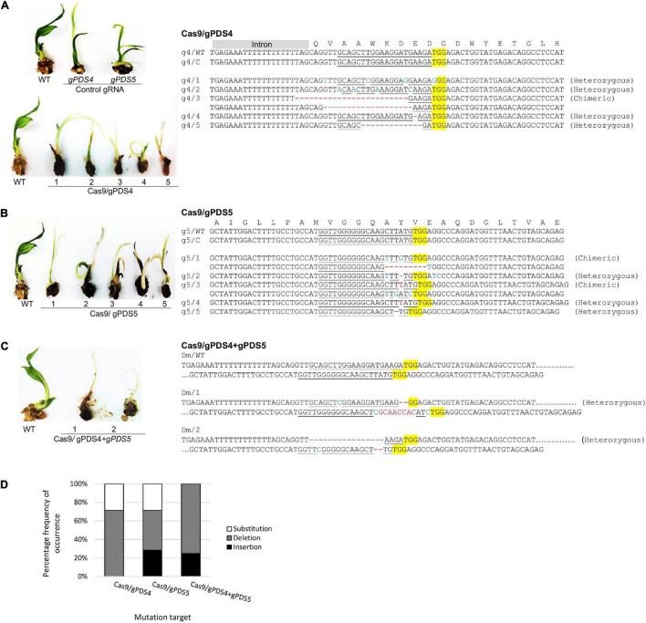 FIGURE 3