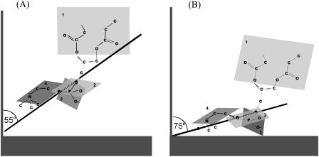 FIGURE 15