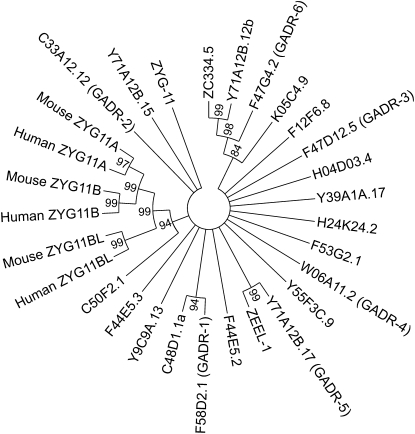 Figure 10 