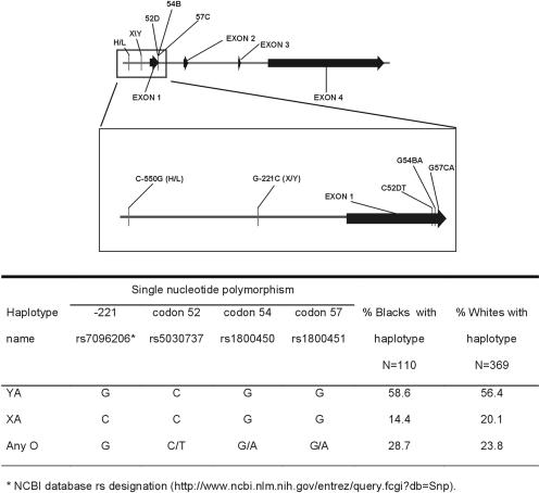 FIG. 1.