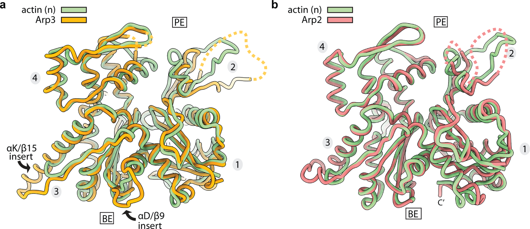 Extended Data Fig. 5|