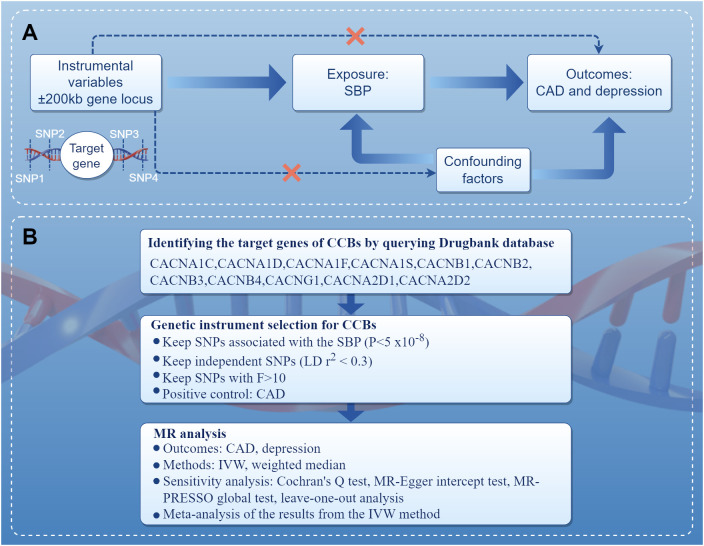 Figure 1