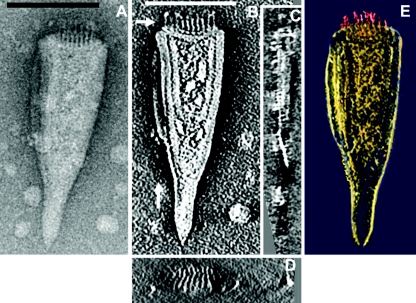 FIG. 4.