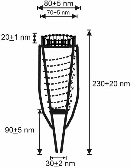 FIG. 7.