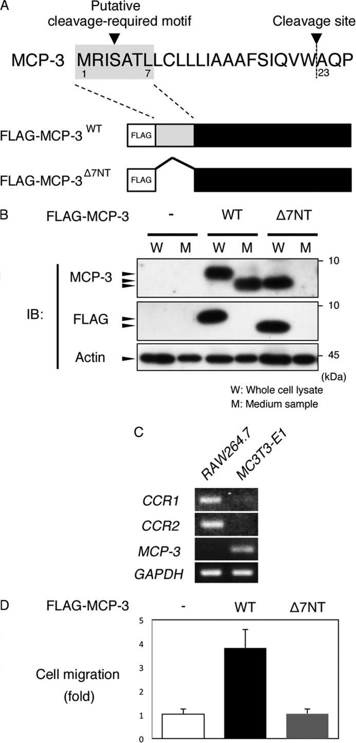 FIGURE 7.