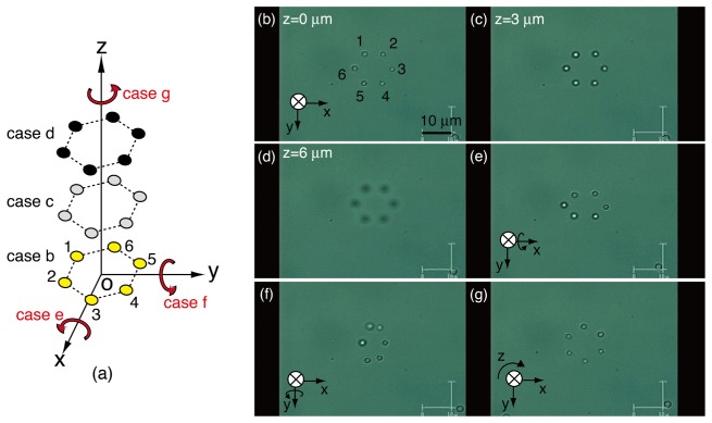 Fig. 2