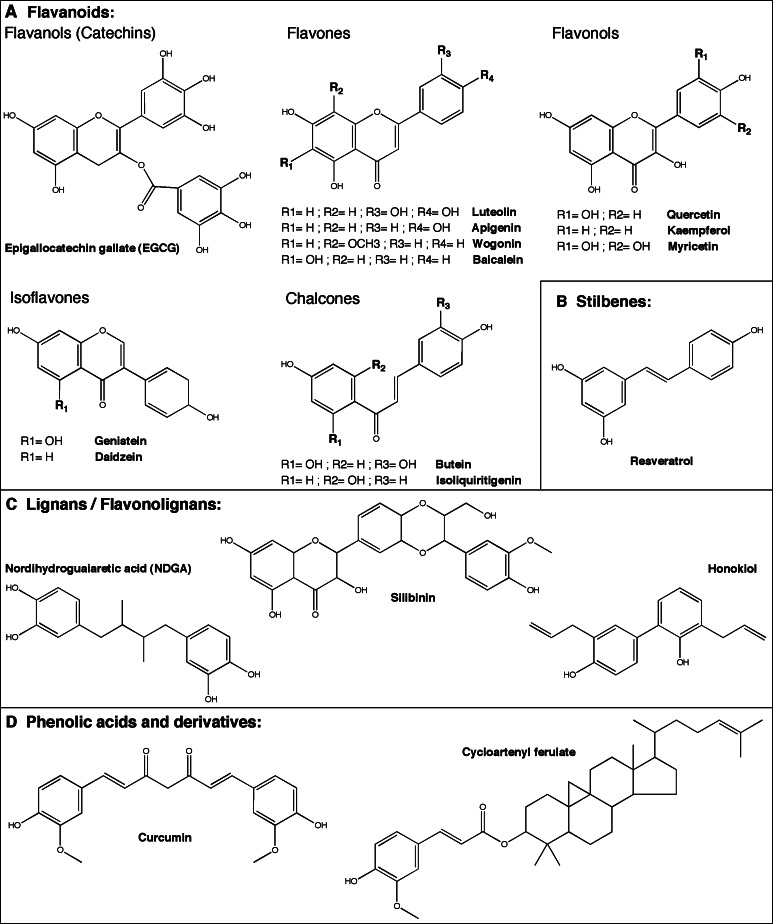 Fig. 2