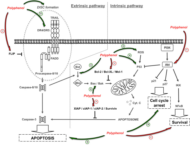 Fig. 4