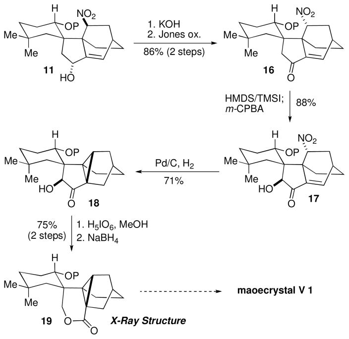 Scheme 3