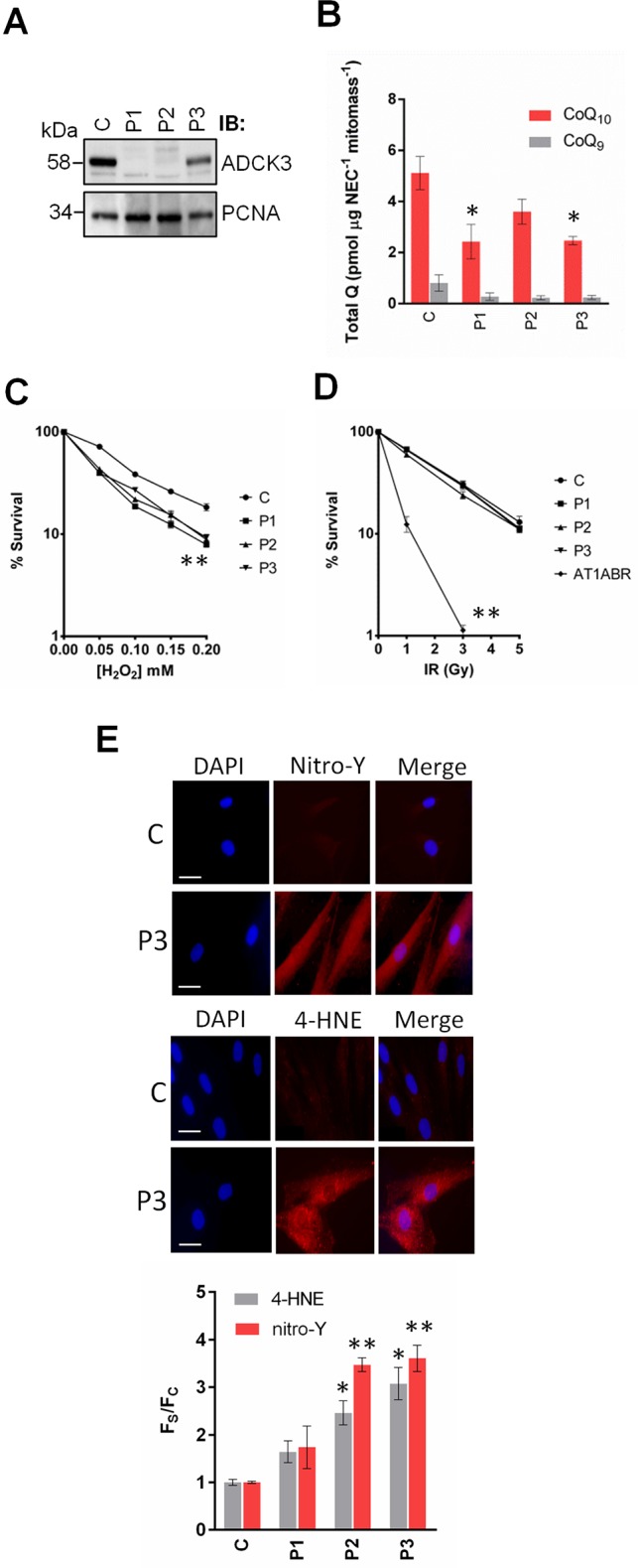 Fig 4