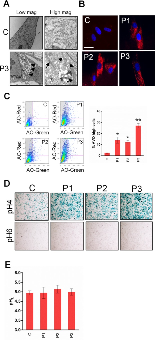 Fig 6