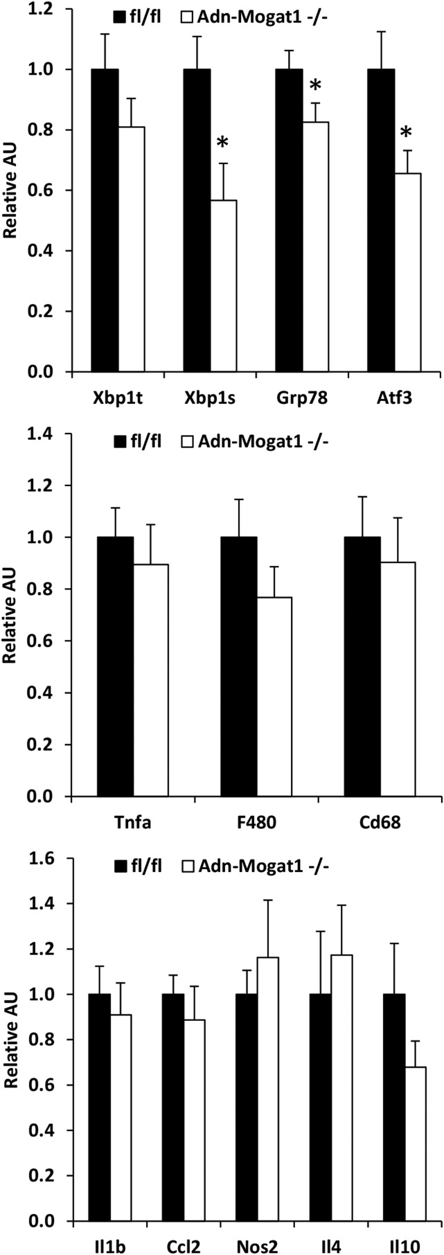 Fig. 6.