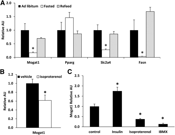 Fig. 3.