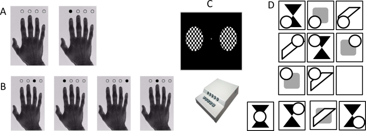 Fig. 2