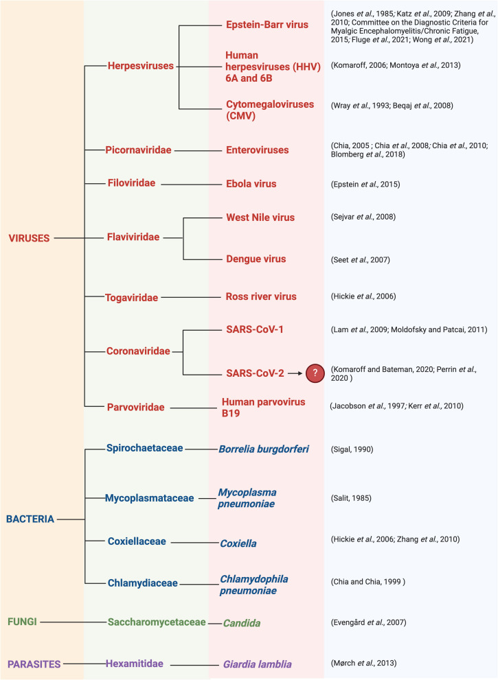 Figure 4