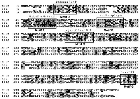 FIG. 6.