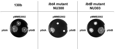 FIG. 7.