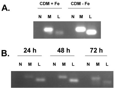 FIG. 4.