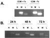 FIG. 4.