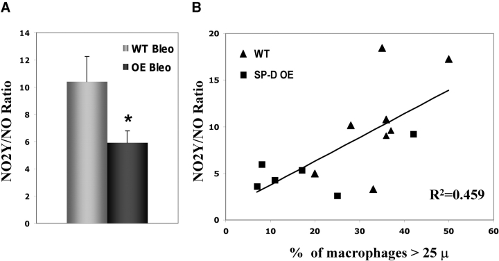 Figure 9.