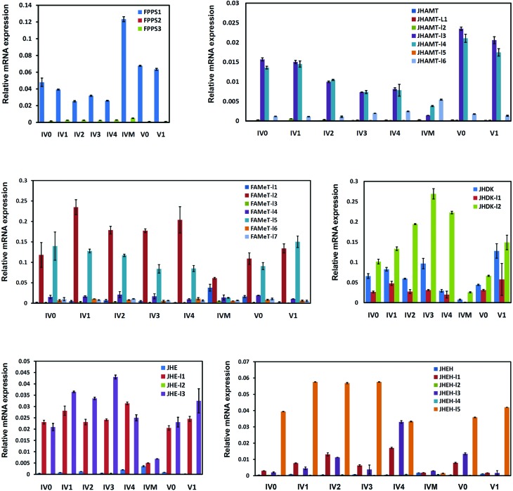 Figure 6