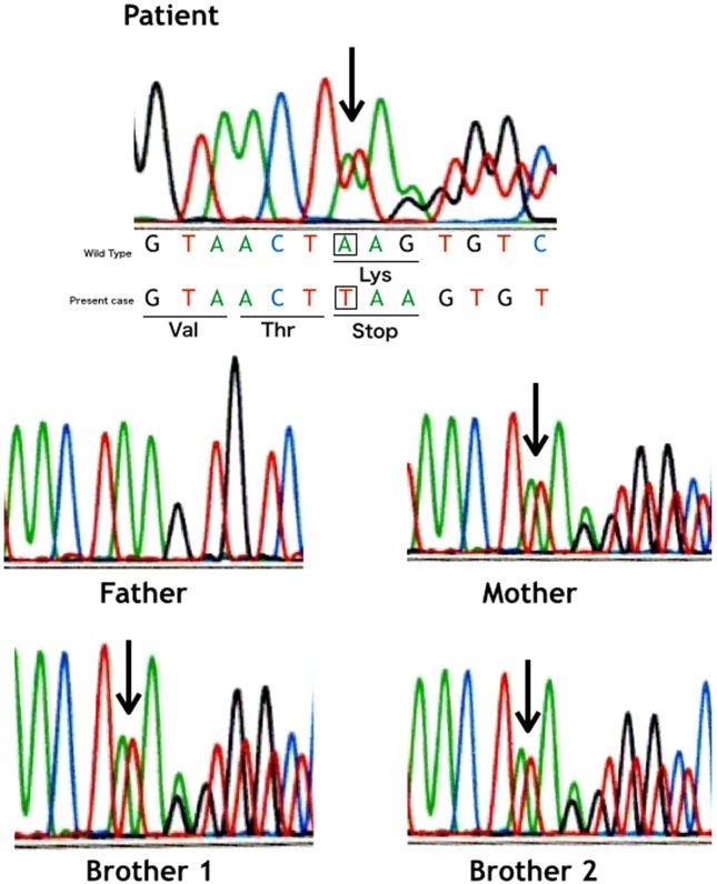 Fig.
2.