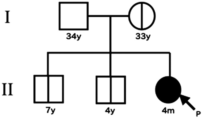 Fig. 3.