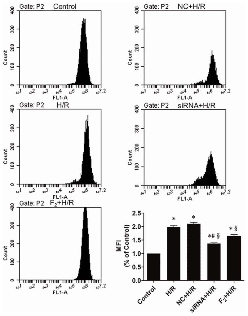 FIGURE 3