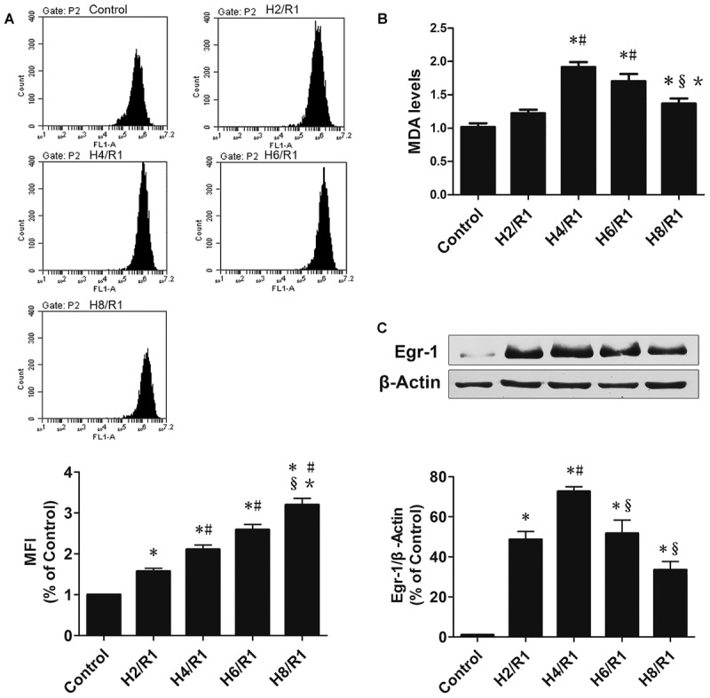 FIGURE 1