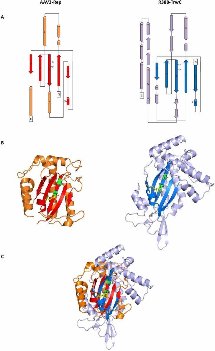 Fig 1