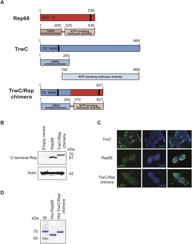 Fig 2