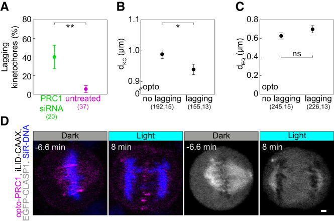 Figure 2—figure supplement 2.