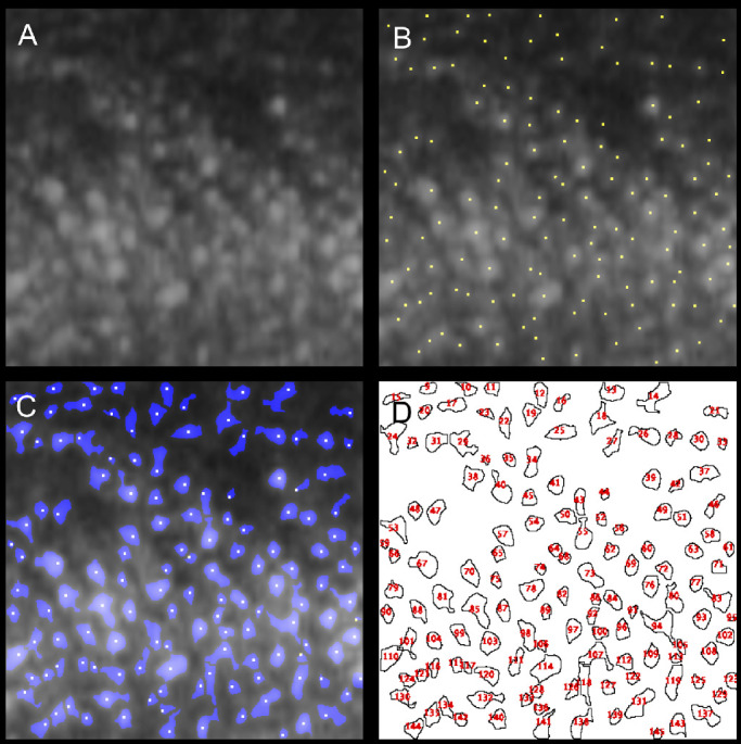 Figure 2.