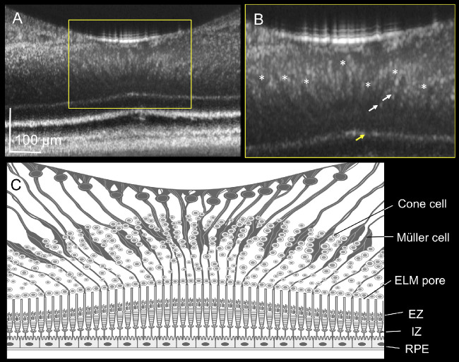 Figure 4.