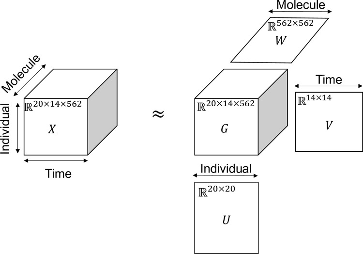 Fig 1