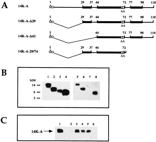 FIG. 6