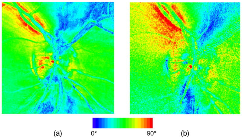 Fig. 8