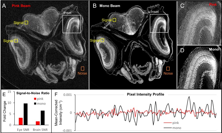 Figure 1—figure supplement 3.