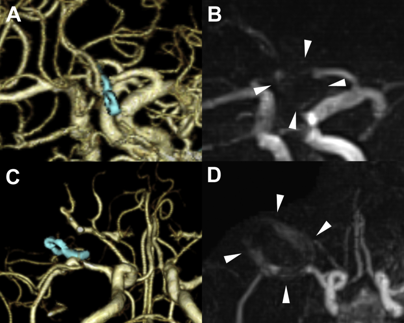 Figure 6