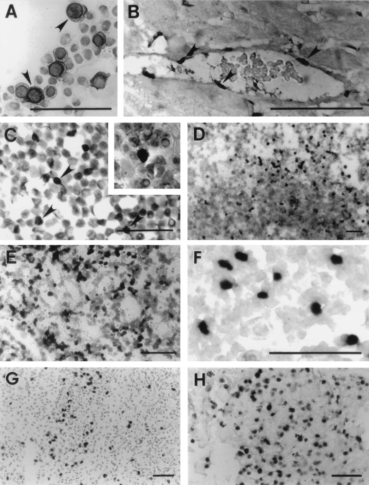 FIG. 8