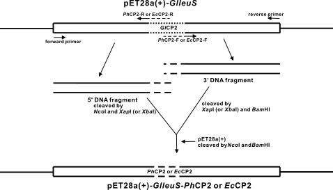 FIGURE 1.