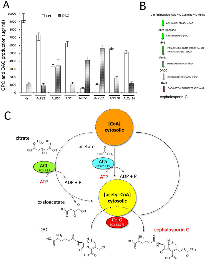 Fig 6
