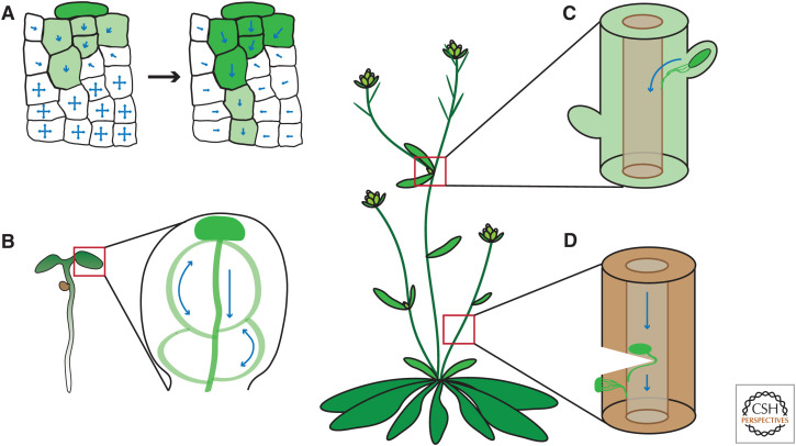 Figure 4.