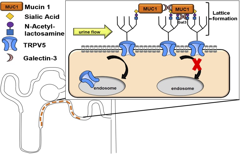 Figure 9.