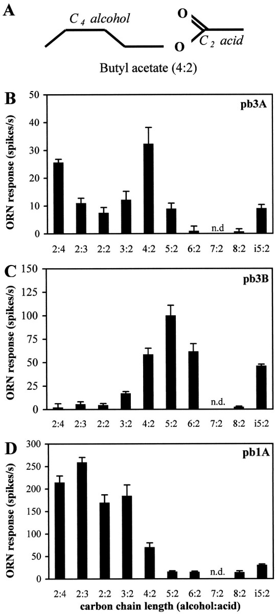 Fig. 8.