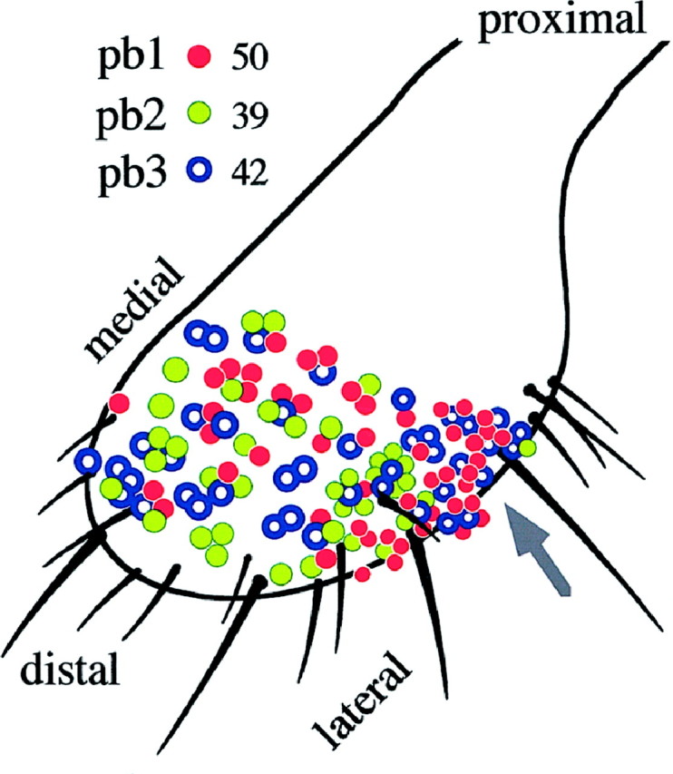 Fig. 10.