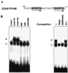 FIG. 7