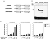 FIG. 11